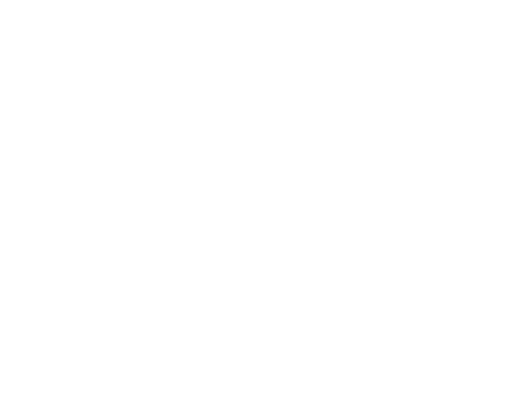 Boost Consulting