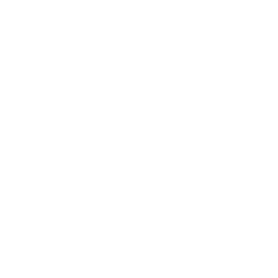 Boost Consulting