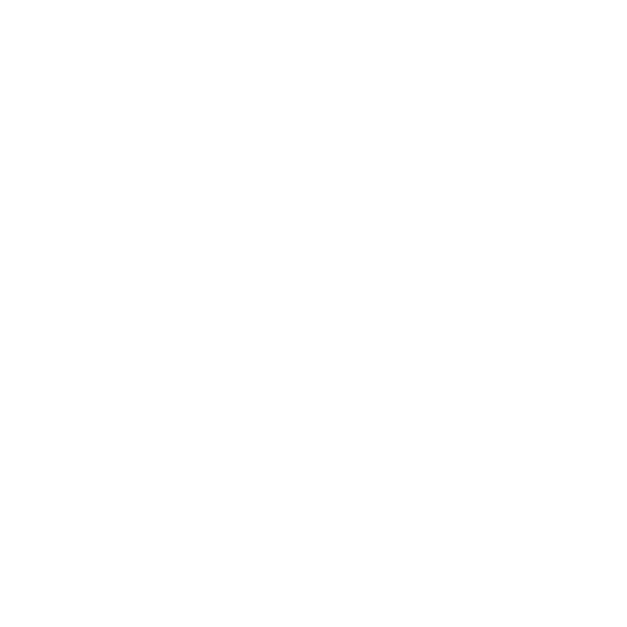 Boost Consulting